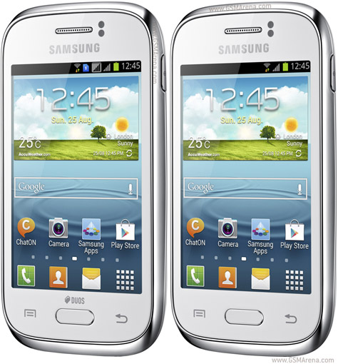 Samsung S6310 Galaxy Young